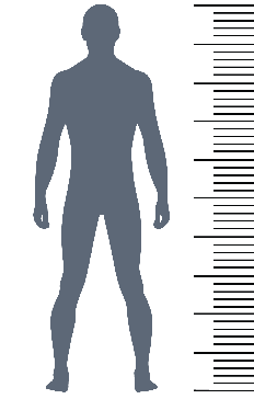 Ilustración de una persona junto a una escala de altura